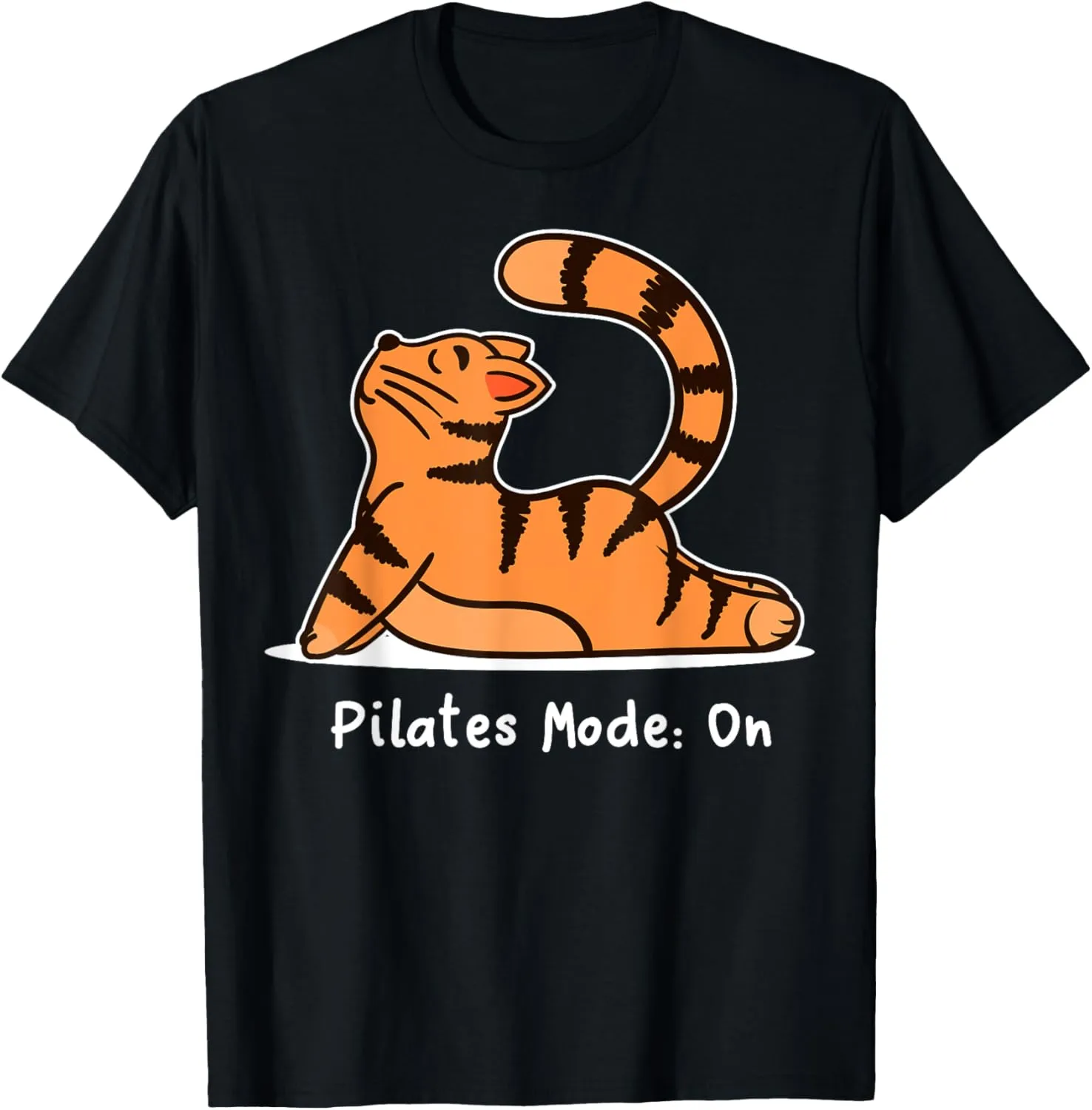Funny Pilates Cat Fitness Workout Training Exercises T-Shirt